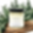 Luscenti Evergreen Serenity 8 oz mason jar candle with wooden wick