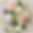 F37D910E-85A1-4A4B-87C2-11E617254D41.png.png