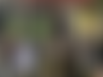 Sonora cuenta con más de 4 mil promotores por la paz durante acciones de proximidad de la Policía Estatal