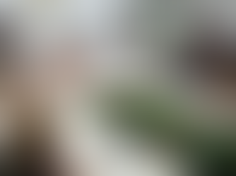 Comisión para la Igualdad de Género del Congreso de Sonora avala incrementar penas por abuso sexual