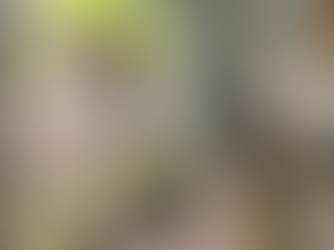 Gobierno de Sonora invita a estudiantes de Cobach a realizar su proceso de inscripción