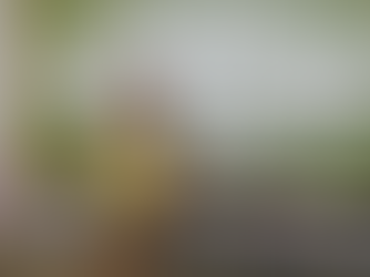 Gobernador Durazo respalda economía de familias sonorenses con Bazar Escolar 2025