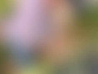 Gobierno de Sonora impulsa reforestación urbana con donación gratuita de plantas