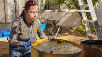Continúa Salud Sonora con acciones de prevención del dengue en la entidad