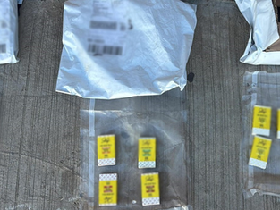 Binomios K-9 de la Policía Estatal localizan sustancia prohibida en paquetería