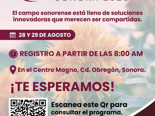 Prepara Gobierno de Sonora Primer Foro Internacional de Diversificación Productiva en Cajeme