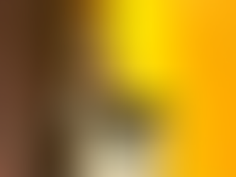 Presenta Gobierno de Sonora acciones del Sistema SALVA en la Cámara de Diputados