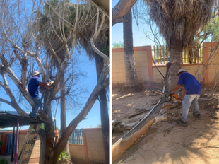 Refuerzan seguridad en escuelas con acciones de Ecología previo a nuevo ciclo escolar