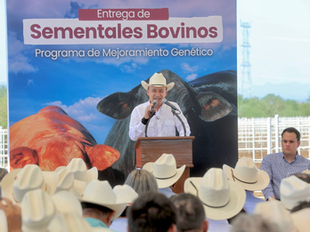 Gobernador Durazo beneficia a pequeños y medianos ganaderos sonorenses con entrega de maquinaria y sementales bovinos
