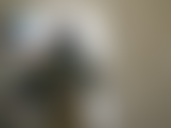 Atiende Gobierno de Sonora proliferación de mosco portador del dengue en el estado