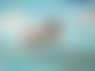 Sonora suma cuatro metales en la penúltima jornada de Paranatación