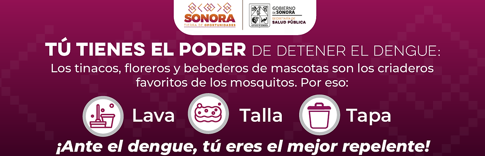 BANNERS PORTALES CAMPAÑA DENGUE SALUD_300x100.png