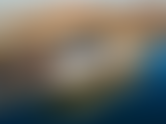 Prepara Ayuntamiento de Guaymas arribo del crucero “Zaandam”