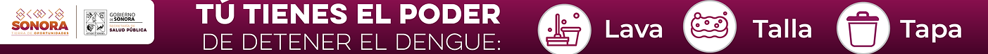 BANNERS PORTALES CAMPAÑA DENGUE SALUD_1400x90.png