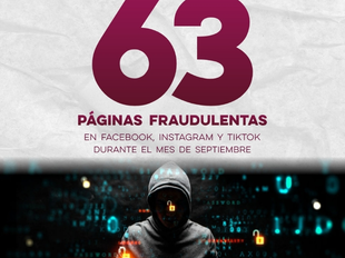 Logra Gobierno de Sonora baja definitiva de 63 páginas fraudulentas