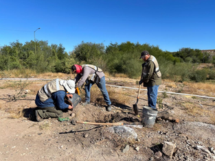 Bosque Urbano La Sauceda concluye la reforestación en el Polígono Sureste “La Oreja”
