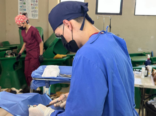 Brinda Gobierno de Sonora jornadas gratuitas de esterilización animal en Hermosillo