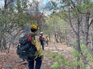 Avanza Gobierno de Sonora en control de incendio forestal en la Sierra Los Ajos
