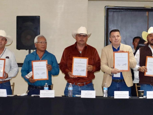 Reconoce Seguridad Pública trabajo de los 72 municipios para prevenir y atender la violencia familiar y de género