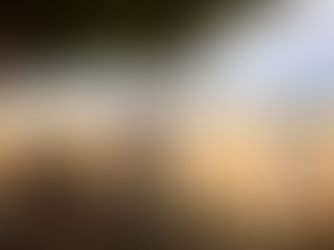 Gestiona Gobierno de Sonora el agilizar pagos a productores de trigo panificable y maíz en Sonora