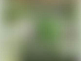 Sagarhpa invita al XIII Simposio Nacional de Garbanzo