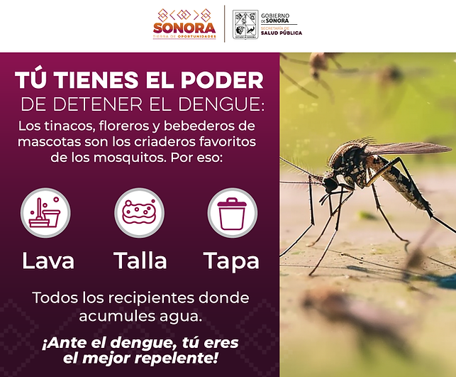 BANNERS PORTALES CAMPAÑA DENGUE SALUD_300x250.png