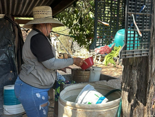 Llama Gobierno de Sonora a reforzar acciones contra el dengue ante lluvias por el sistema tropical “Raymond”