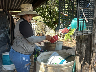 Llama Gobierno de Sonora a reforzar acciones contra el dengue ante lluvias por el sistema tropical “Raymond”