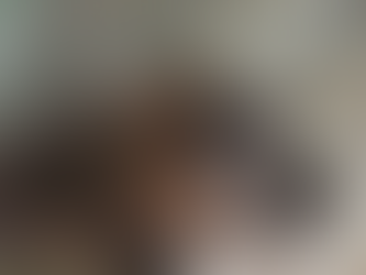 Gobierno de Sonora reintegra osa negra al hábitat natural en la sierra del estado