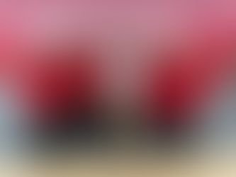 Sonorense verá acción en Campeonato Panamericano de Futbol Bandera Femenil