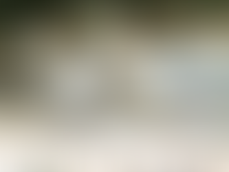 CEDES anuncia la llegada de dos nuevos ejemplares de tigre blanco al Centro Ecológico