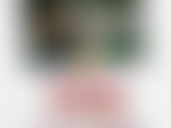 Promueve Gobierno de Sonora denuncia anónima de delitos en la línea 089