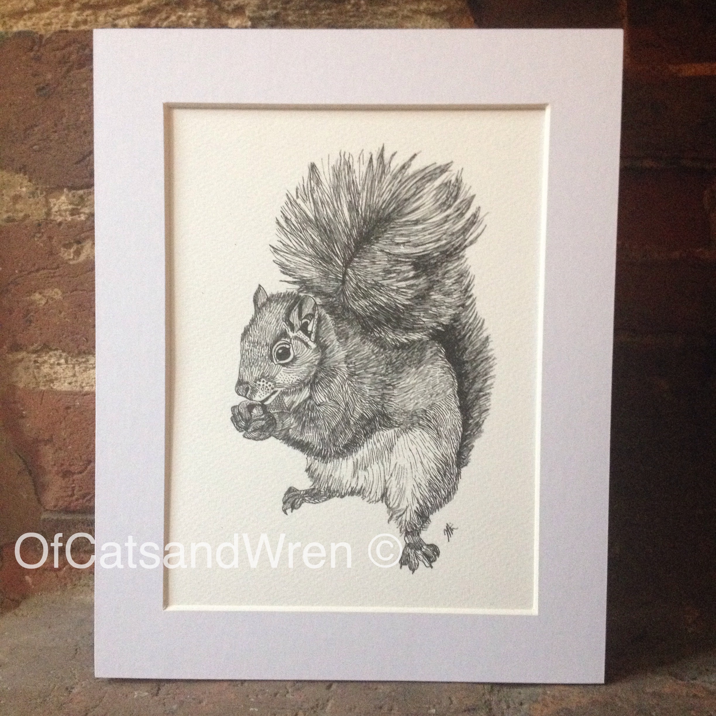 Squirrel - Jennifer Livingston