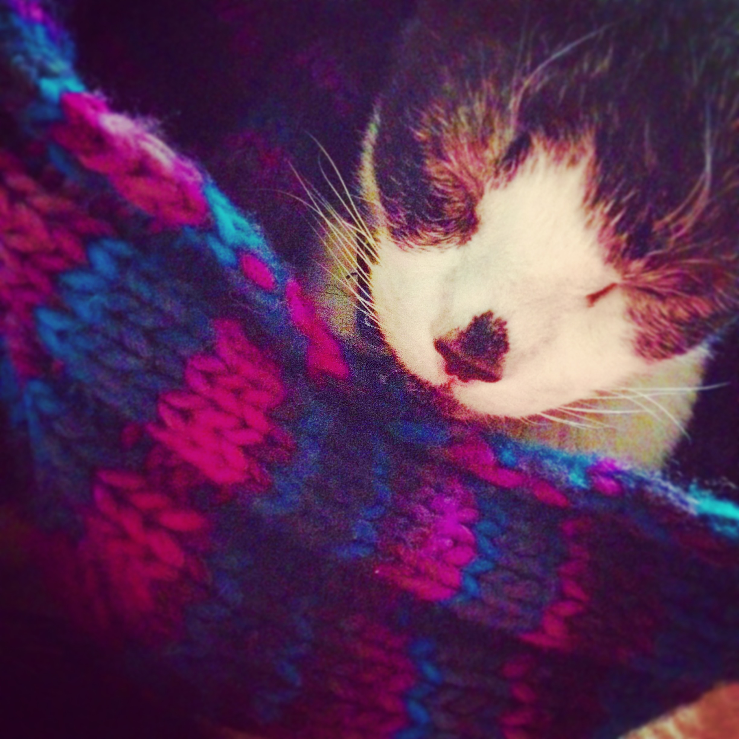 The 'Not Simon' Cowl