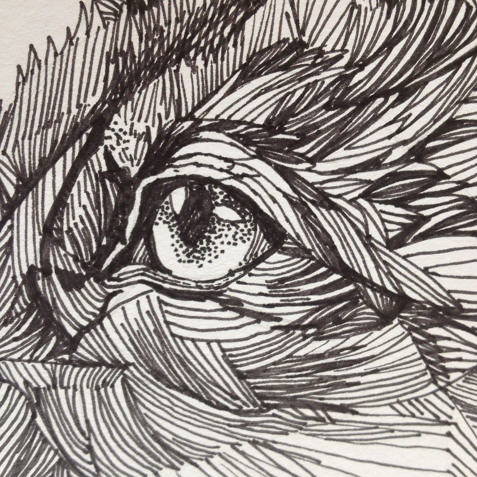 Close up of 'Fox' Drawing