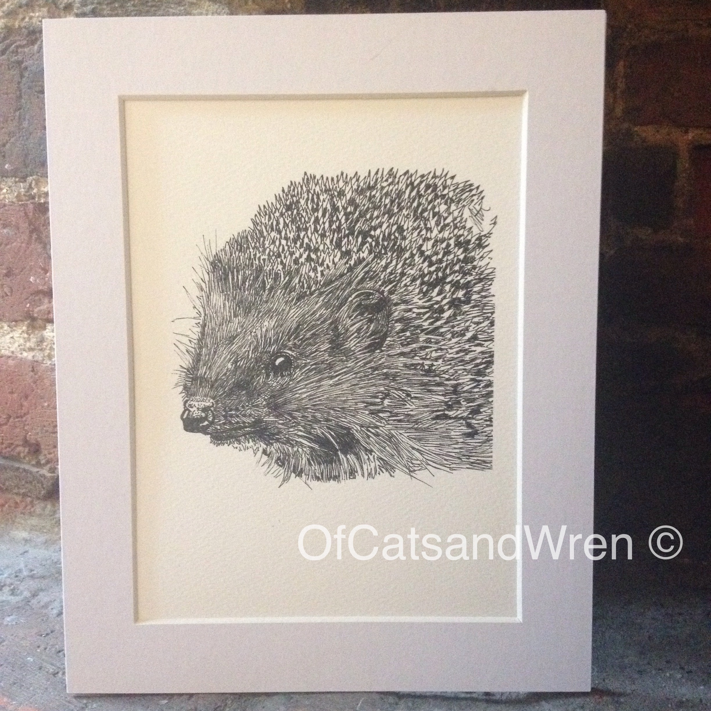 Hedgehog - Jennifer Livingston