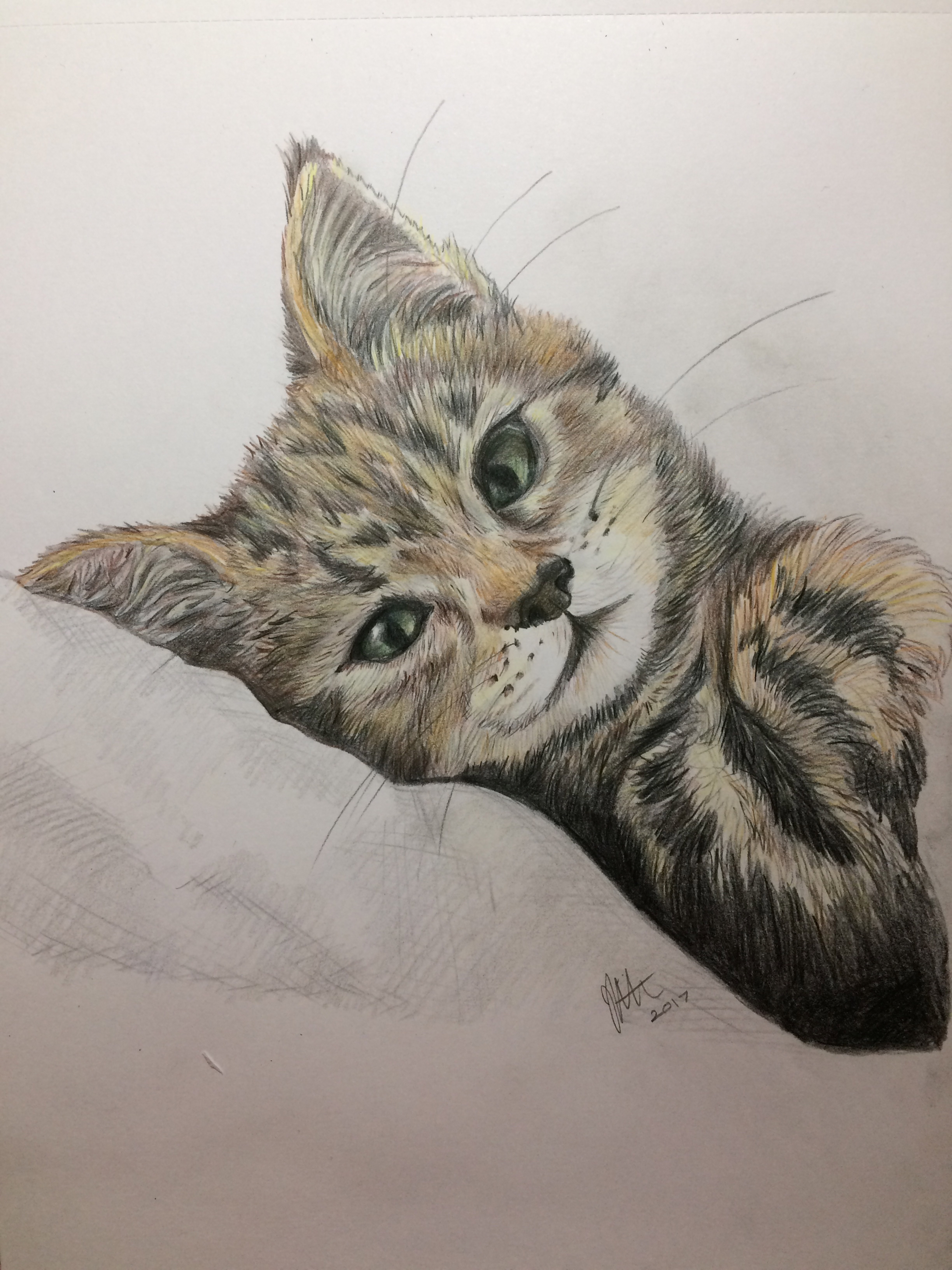 'Daisy' Pet Portrait