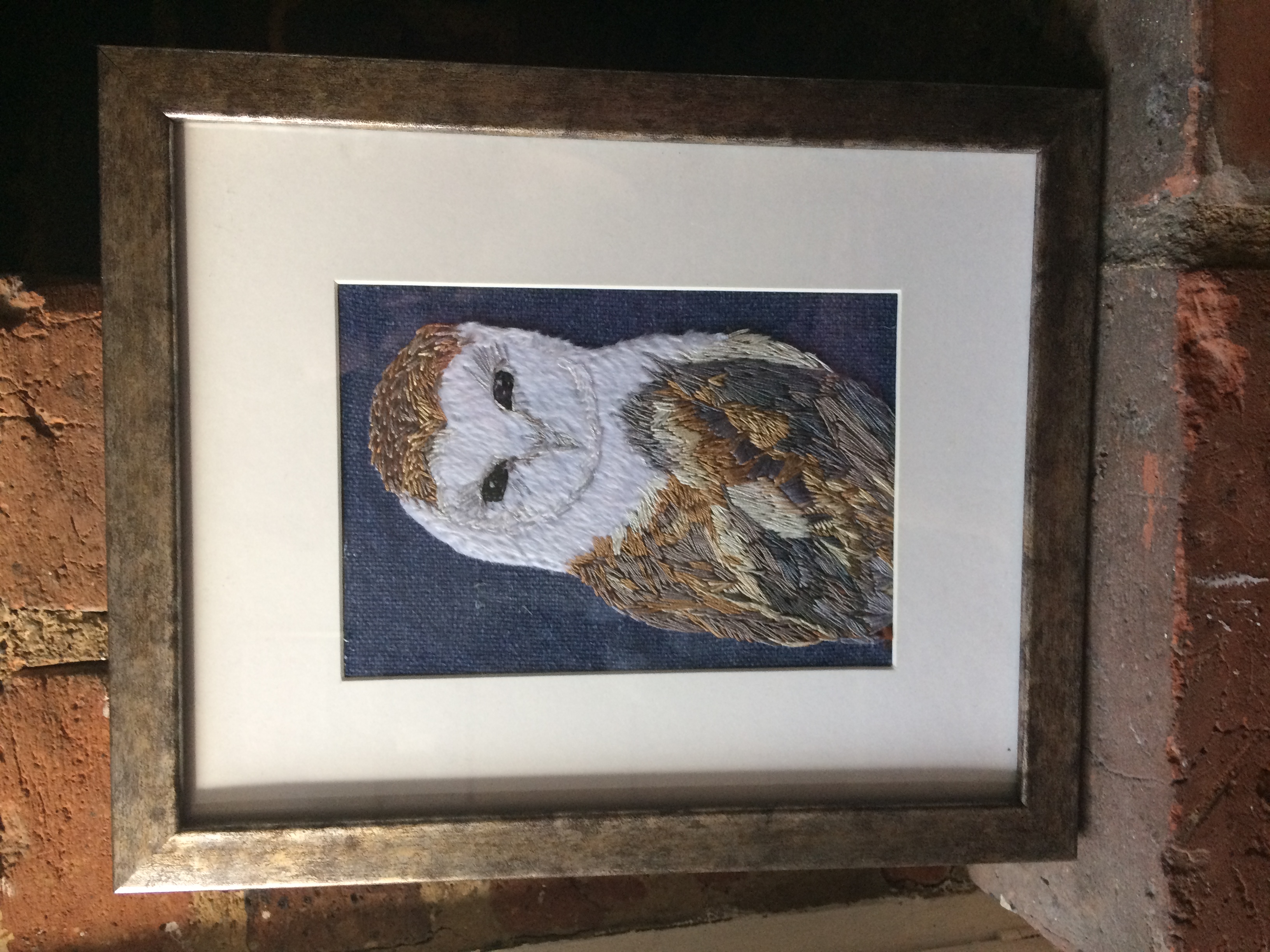 Barn Owl - J K Livingston
