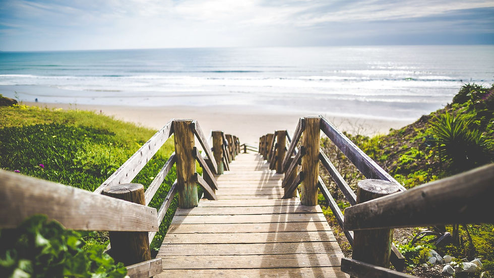 Holztreppe führt durch grünes Gelände hinunter zum Meer und gibt Blick auf die Weite des Meeres und den Horizont frei - symbolisiert Coaching