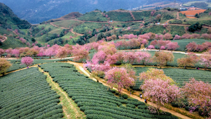 What are the Best Times to Visit Vietnam for Adventure Travel?
