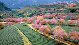 What are the Best Times to Visit Vietnam for Adventure Travel?