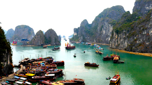 Best Seafood Experiences in Coastal Vietnam