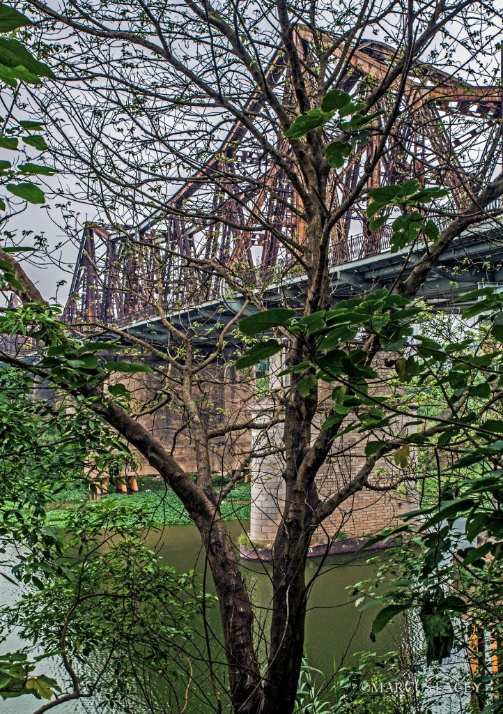 The iconic Long Bien Bridge in Hanoi, partially obscured by lush green trees, showcasing its historical iron structure spanning the Red River.