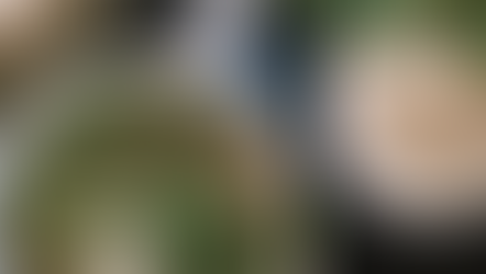 Which Type of The Best Pho in Vietnam is Better?