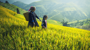 Best Adventure Activities in Vietnam During Monsoon Season