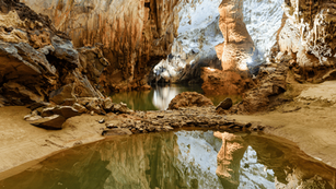 Phong Nha-Ke Bang National Park: A Wildlife Lover's Paradise