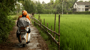 Hoi An Countryside and Islands Explorer: A Vespa Tour Overview