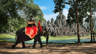Take a Walk on Cambodia's Wildlife Safari
