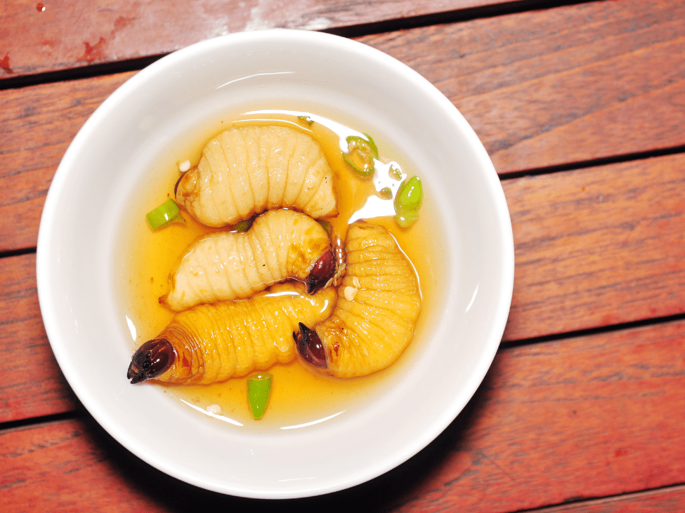 Đuông Dừa - Vietnamese coconut worms