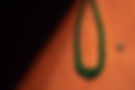 img3.jpg